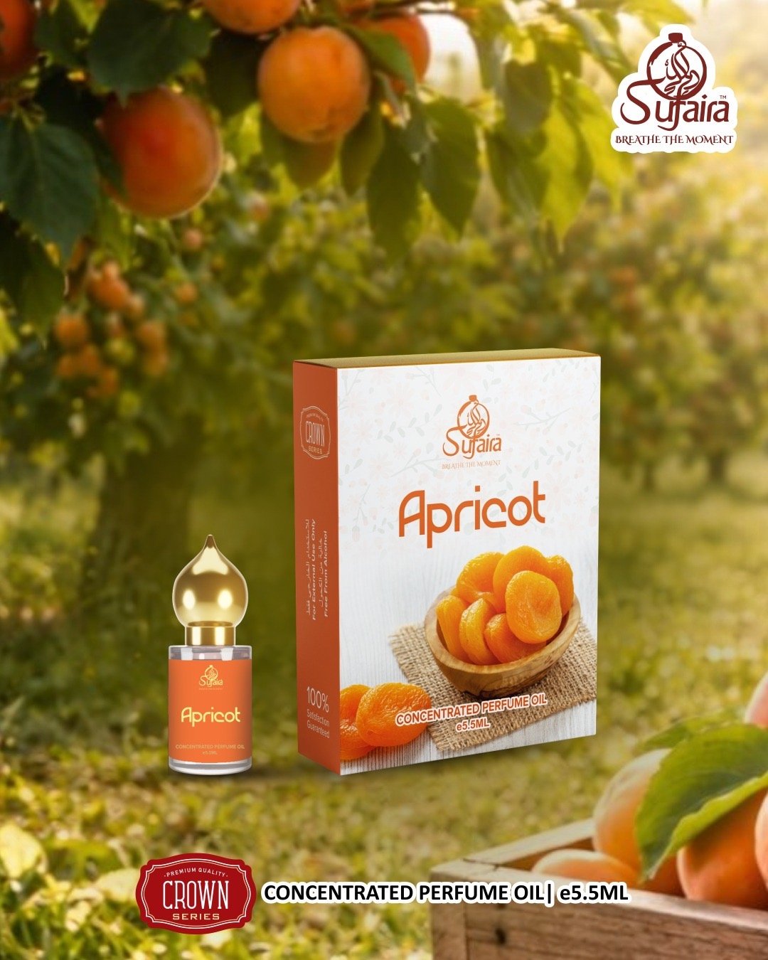 Apricot